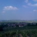 Vineyard in Champagne