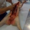 porchetta05