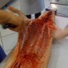 porchetta06