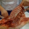 porchetta14