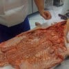 porchetta18