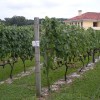dscn0471