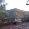 estrela2