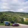 weilvines
