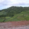 dscn0317
