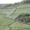 dscn0318